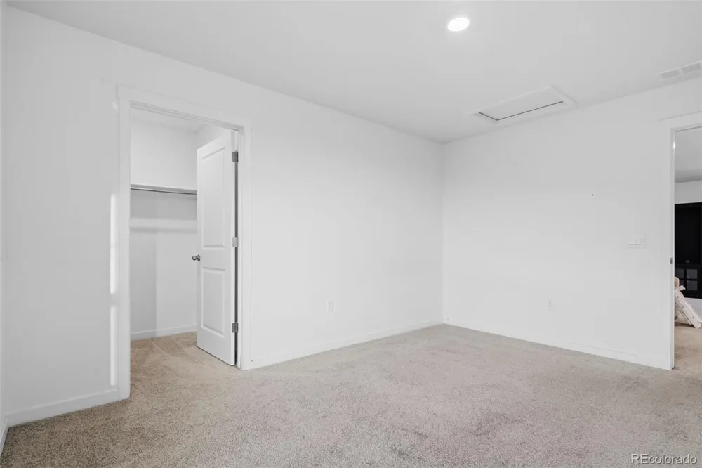 691 Allium Street Watkins, CO 80137