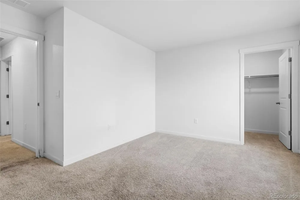 691 Allium Street Watkins, CO 80137