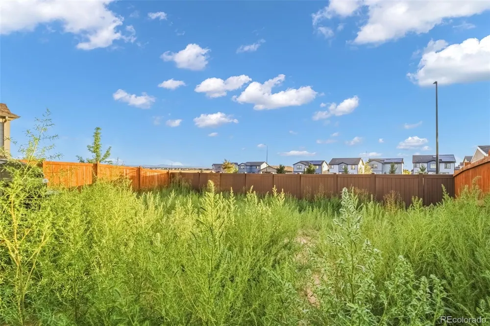 691 Allium Street Watkins, CO 80137