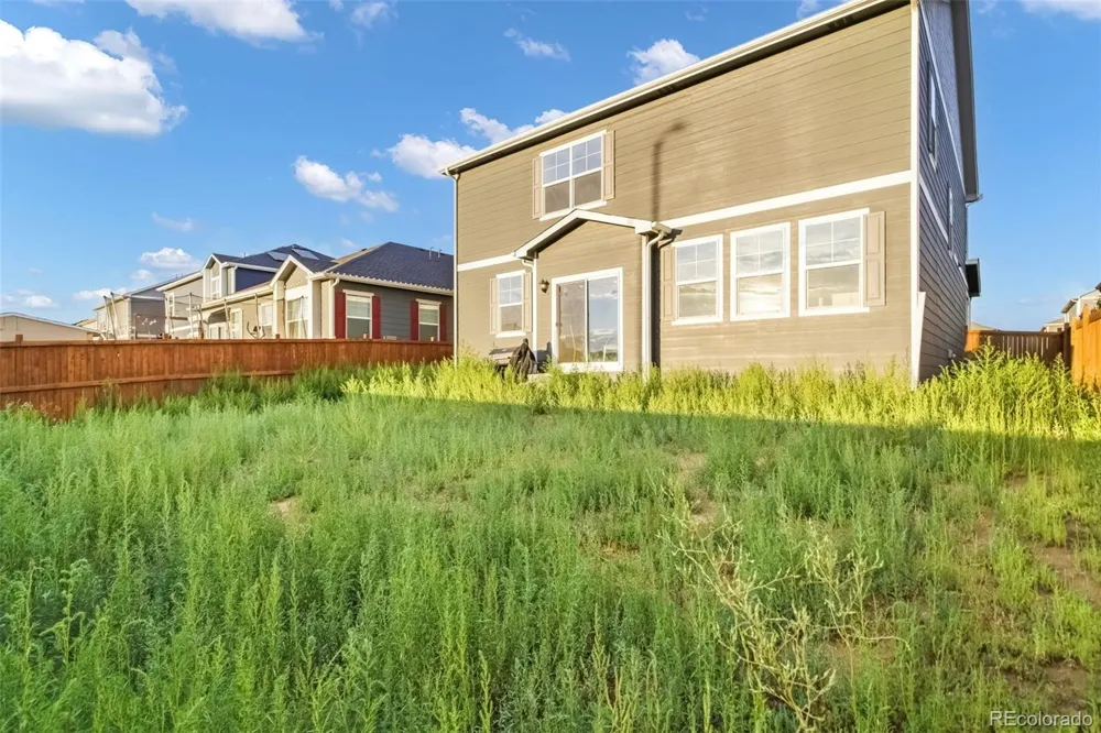 691 Allium Street Watkins, CO 80137