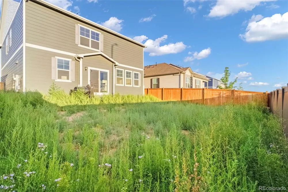 691 Allium Street Watkins, CO 80137