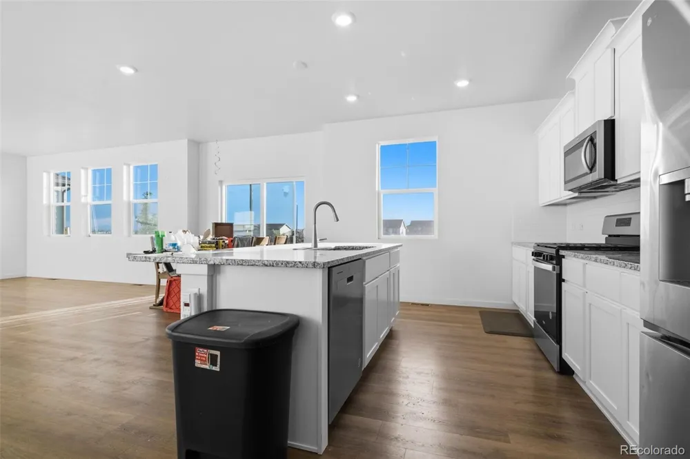 691 Allium Street Watkins, CO 80137
