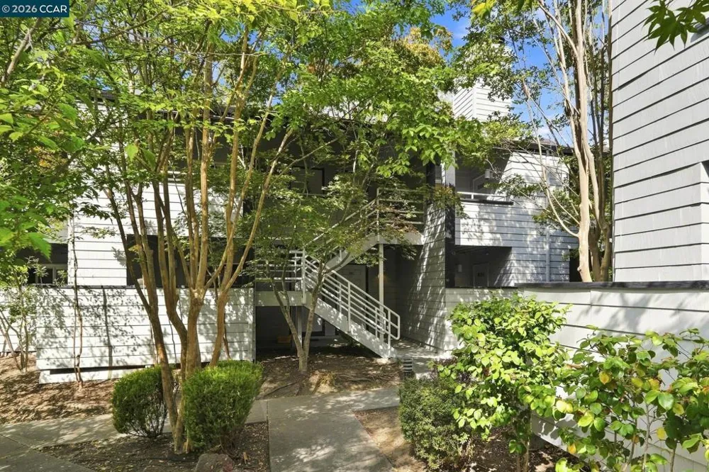 3193 Wayside Plz #25 Walnut Creek, CA 94597