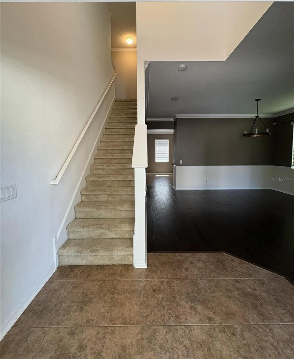 5822 TULIP FLOWER DRIVE Riverview, FL 33578