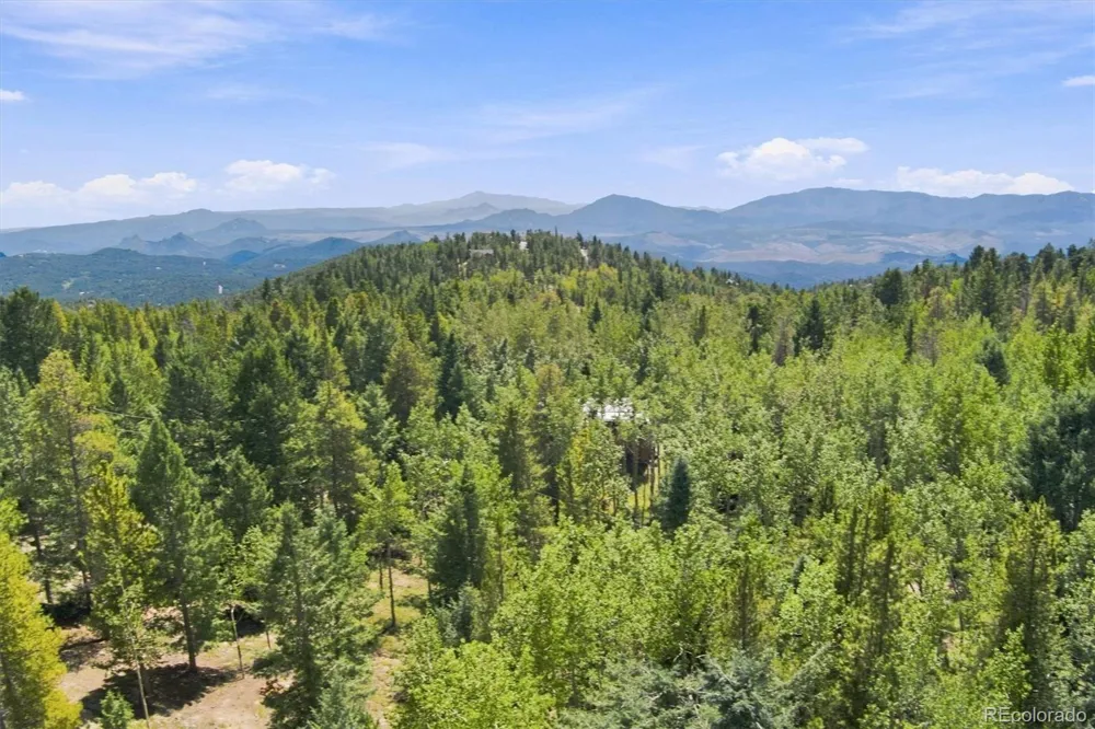 11016 Timothys Drive Conifer, CO 80433