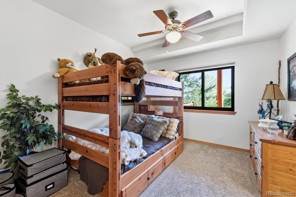 11016 Timothys Drive Conifer, CO 80433