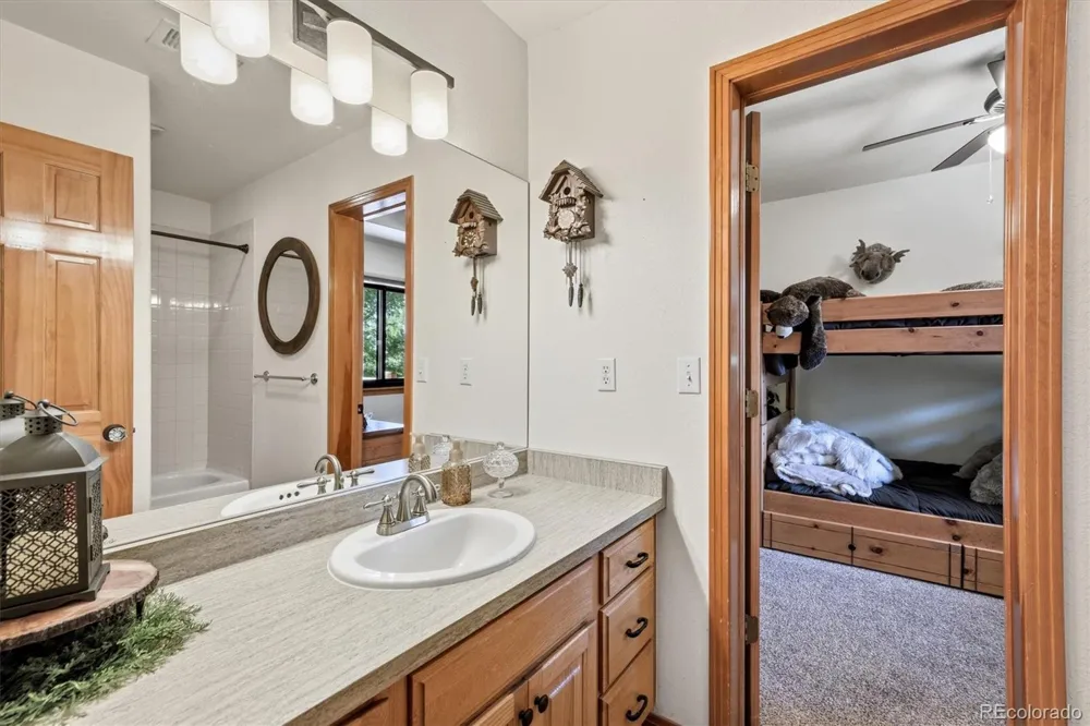 11016 Timothys Drive Conifer, CO 80433