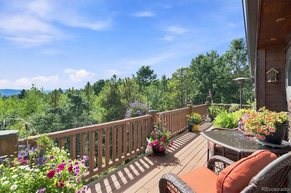 11016 Timothys Drive Conifer, CO 80433