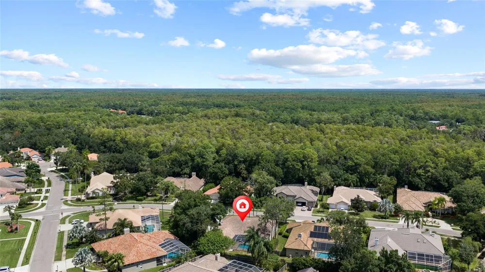 1384 FORESTEDGE BOULEVARD Oldsmar, FL 34677