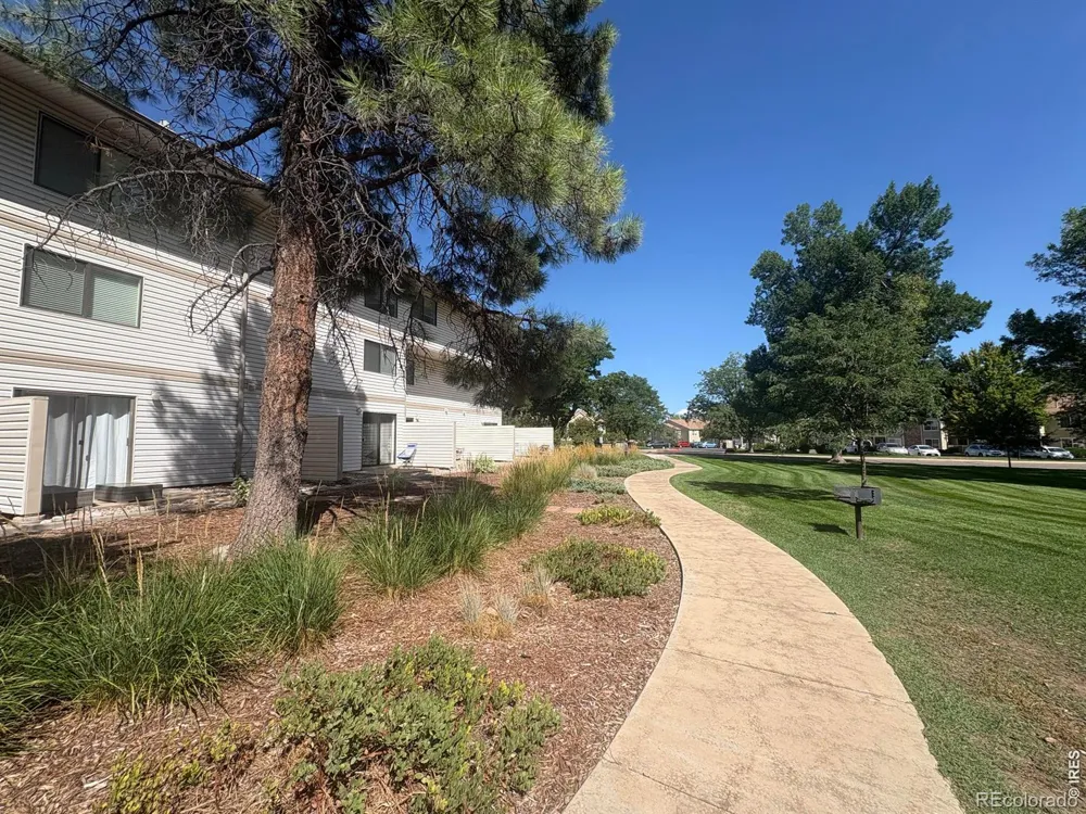 1705 Heatheridge Road Fort Collins, CO 80526