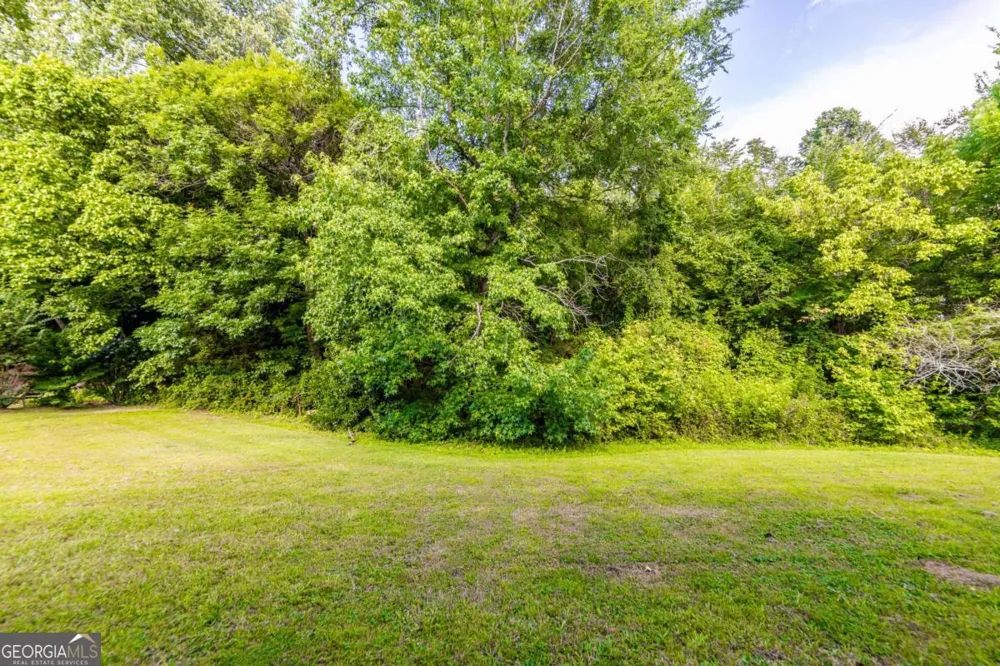 1784 Cedar Walk LN Conley, GA 30288