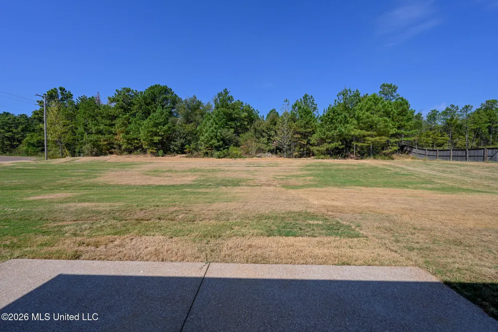 14160 Hidden Loop Byhalia, MS 38611