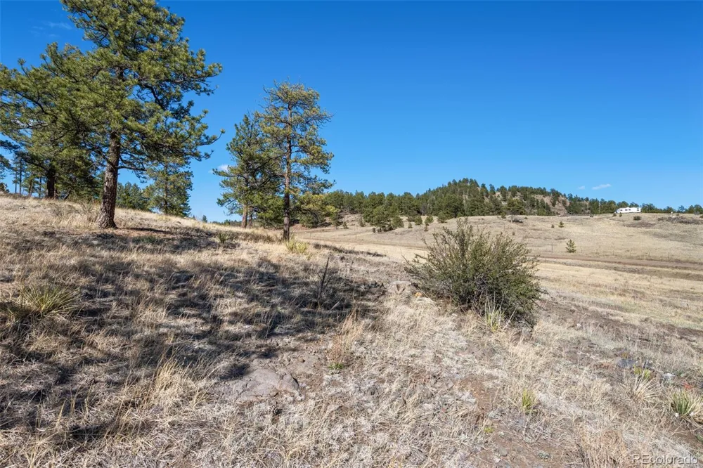 11 Valley Circle Guffey, CO 80820