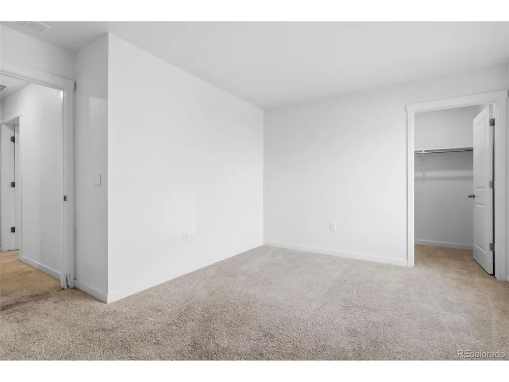 691 Allium Street Watkins, CO 80137