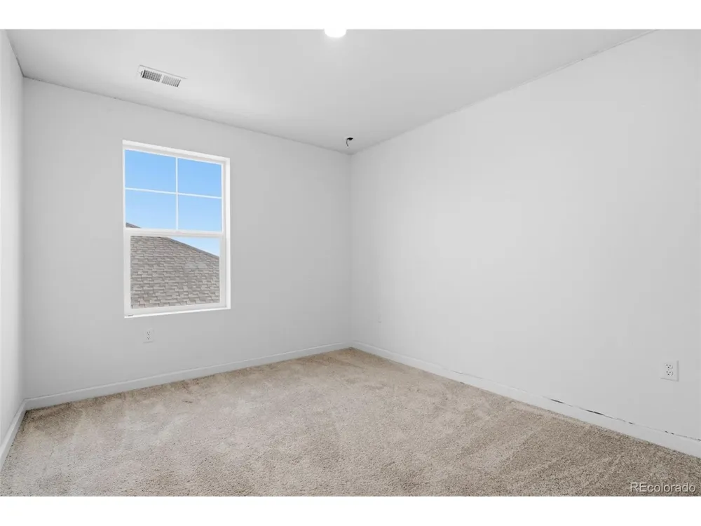691 Allium Street Watkins, CO 80137