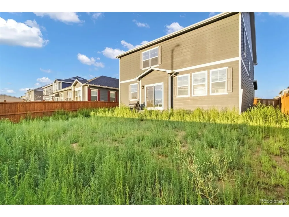 691 Allium Street Watkins, CO 80137