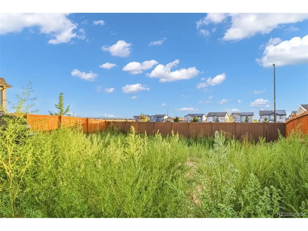 691 Allium Street Watkins, CO 80137