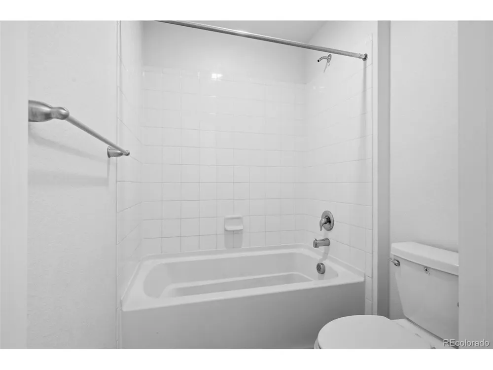691 Allium Street Watkins, CO 80137