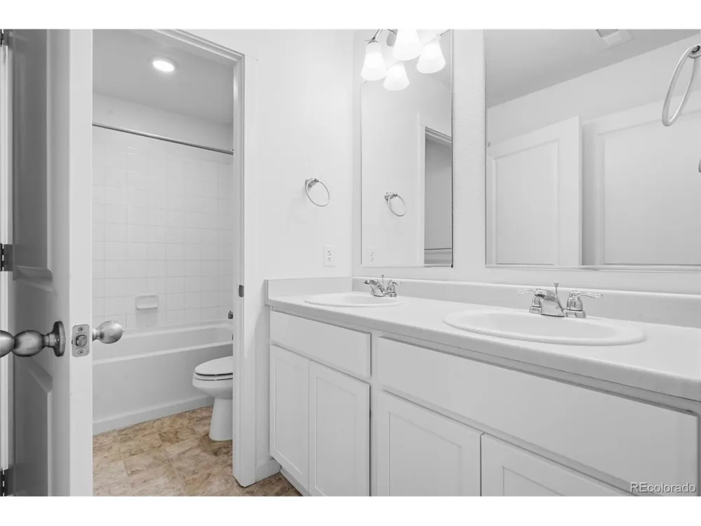 691 Allium Street Watkins, CO 80137