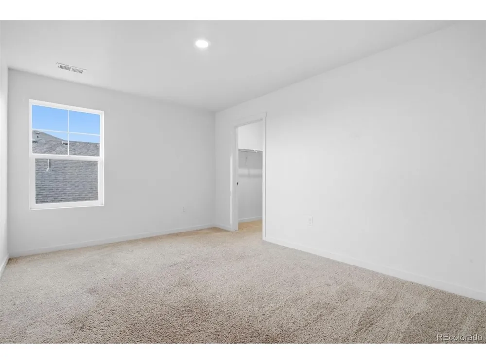 691 Allium Street Watkins, CO 80137