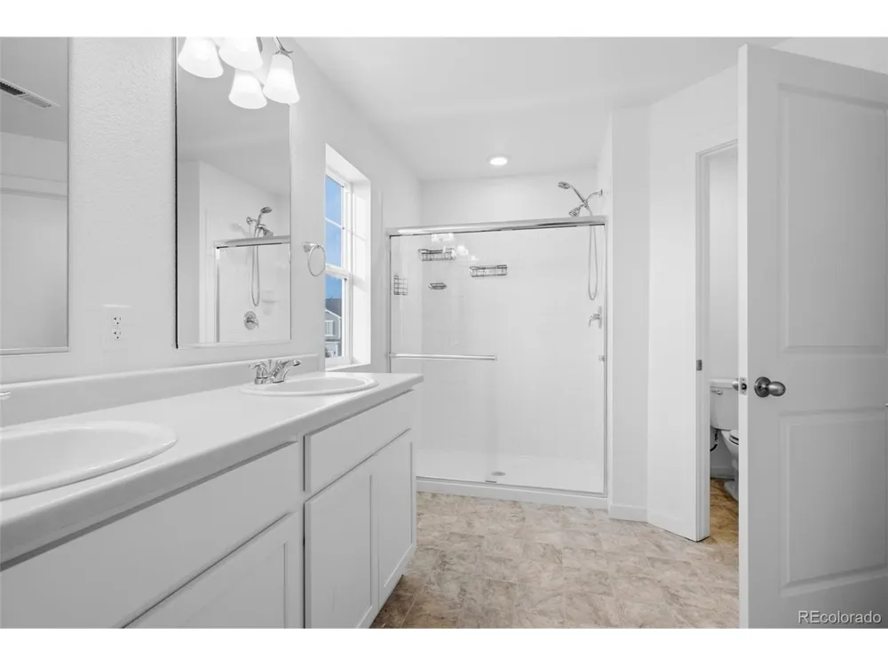691 Allium Street Watkins, CO 80137