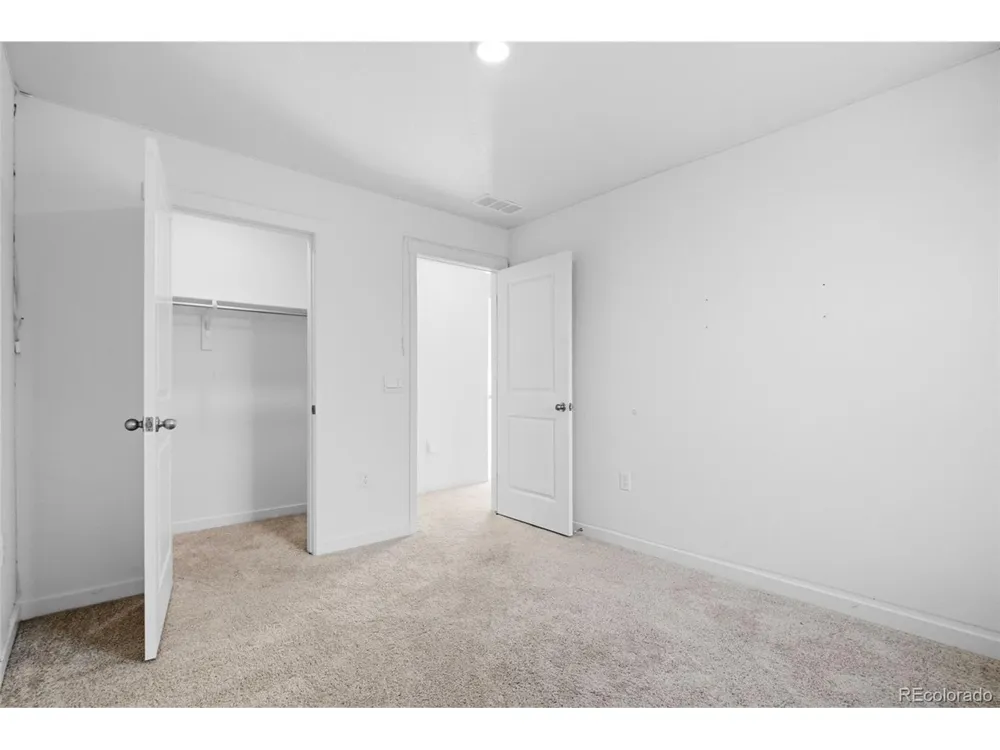 691 Allium Street Watkins, CO 80137
