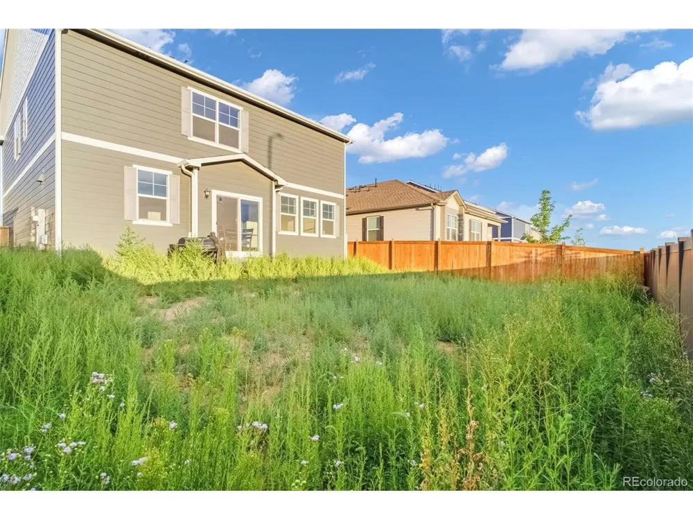 691 Allium Street Watkins, CO 80137
