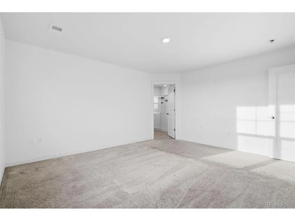 691 Allium Street Watkins, CO 80137