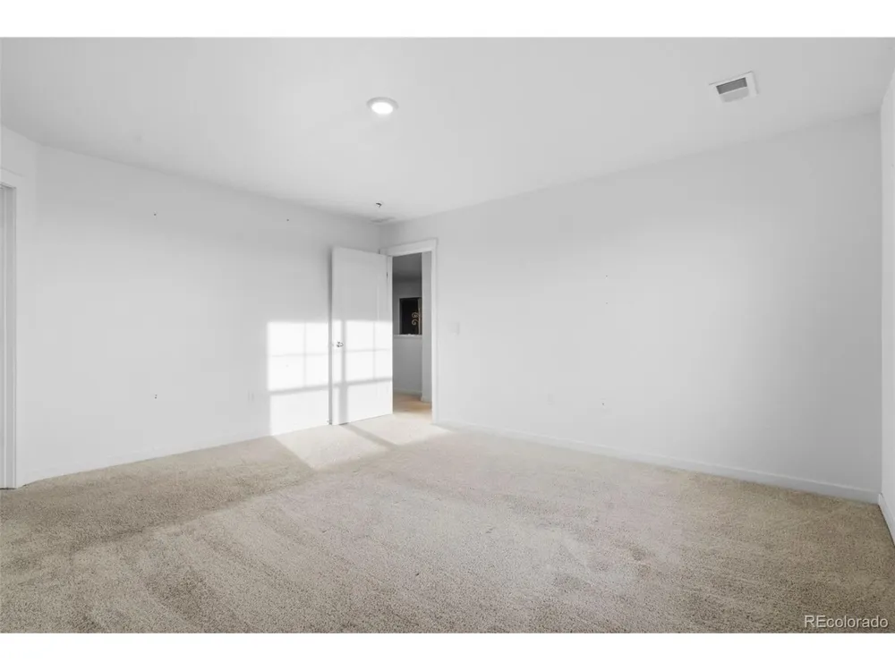 691 Allium Street Watkins, CO 80137