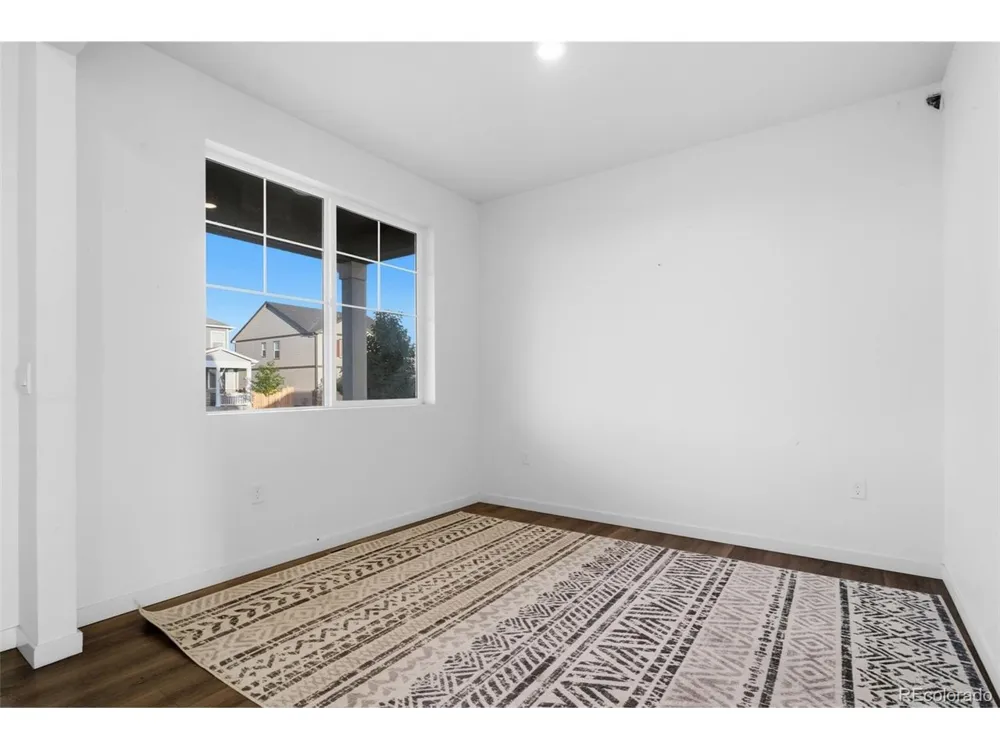 691 Allium Street Watkins, CO 80137