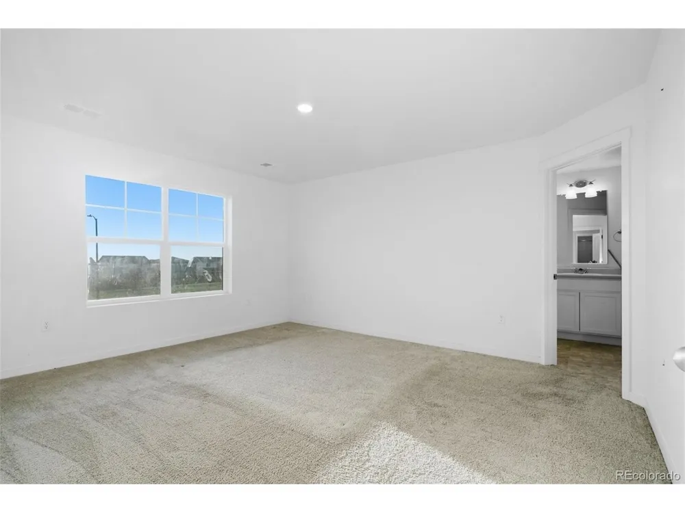 691 Allium Street Watkins, CO 80137