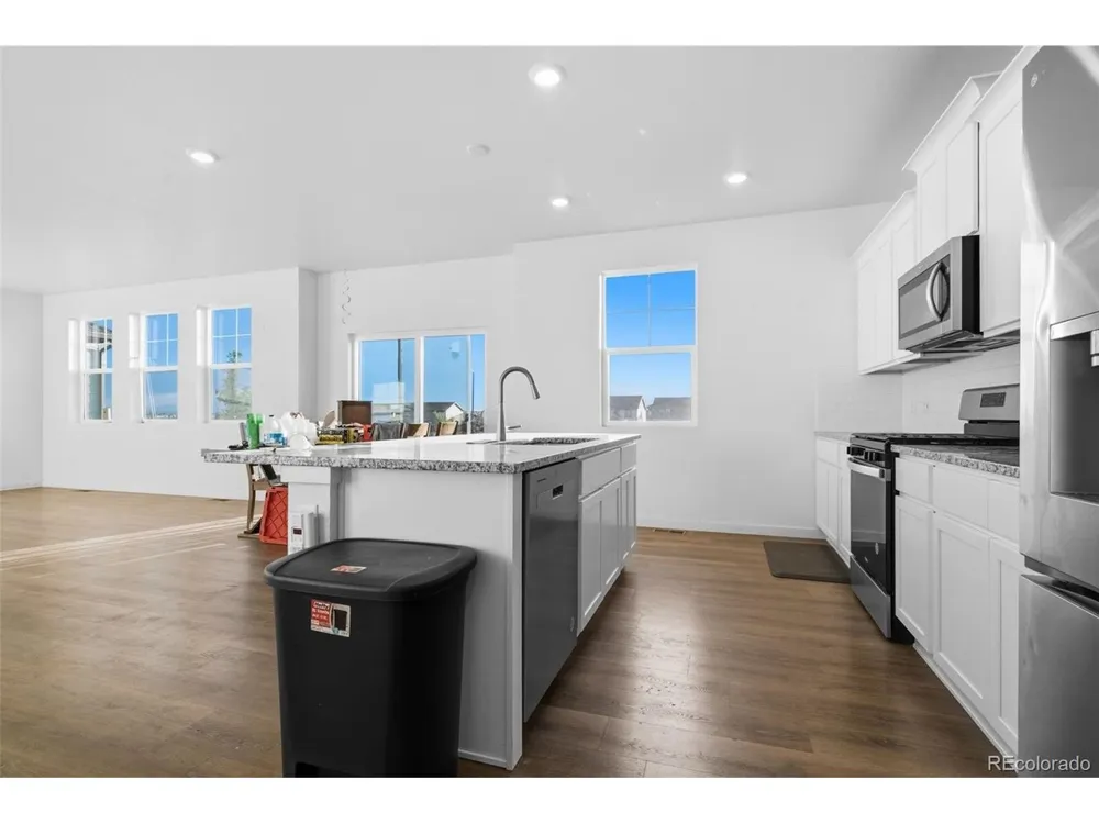 691 Allium Street Watkins, CO 80137