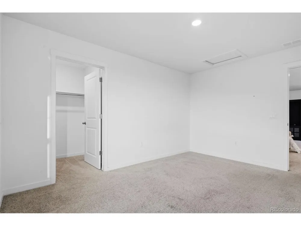 691 Allium Street Watkins, CO 80137