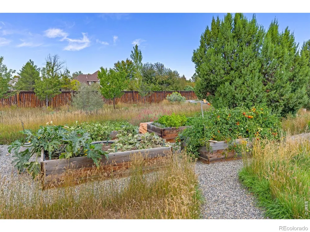 8675 Summerlin Place Longmont, CO 80503