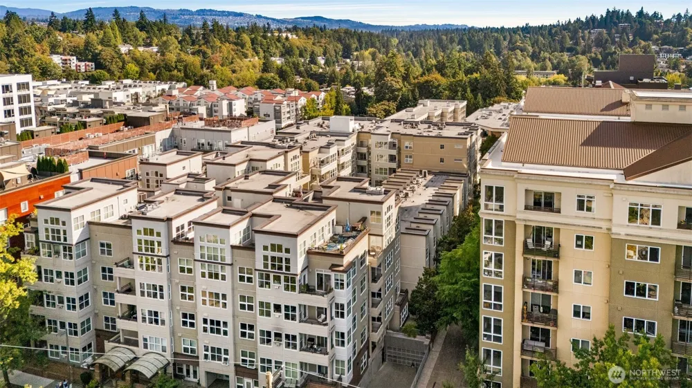 10042 Main Street #112 Bellevue, WA 98004