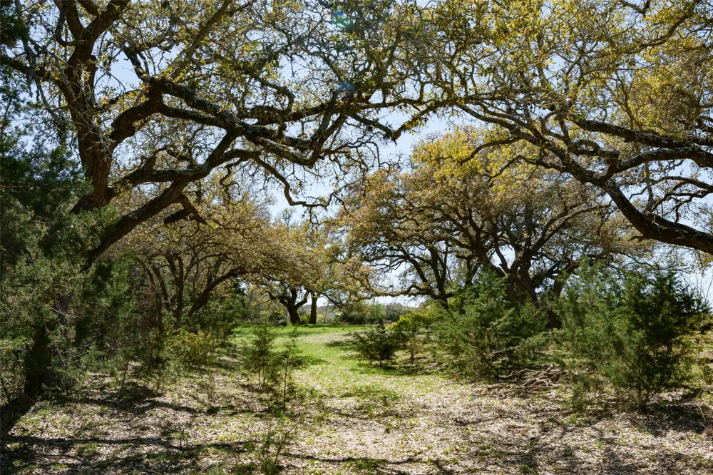 1440 Stone Ridge Mountain Drive Round Mountain, TX 78663