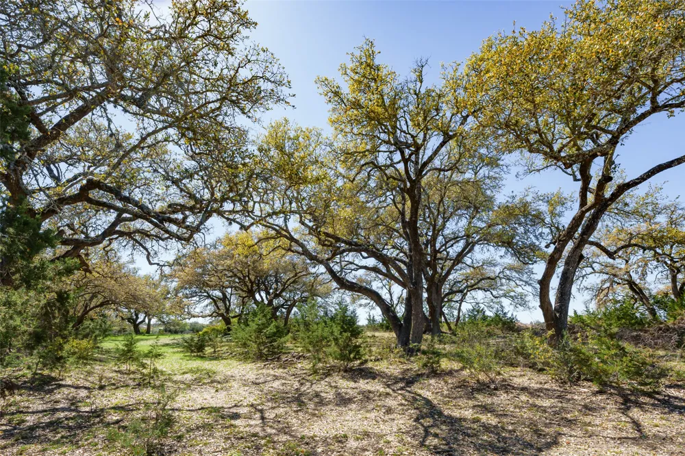 1440 Stone Ridge Mountain Drive Round Mountain, TX 78663