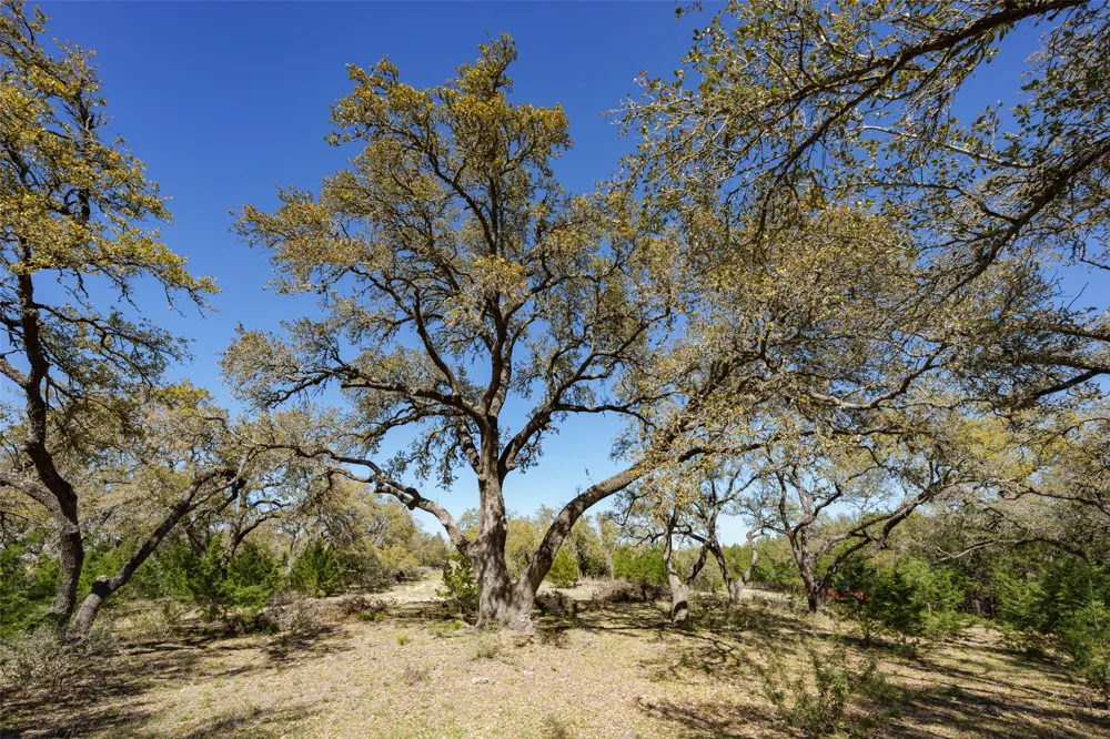 1440 Stone Ridge Mountain Drive Round Mountain, TX 78663