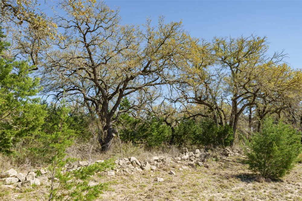1440 Stone Ridge Mountain Drive Round Mountain, TX 78663
