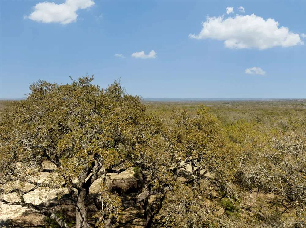 1440 Stone Ridge Mountain Drive Round Mountain, TX 78663