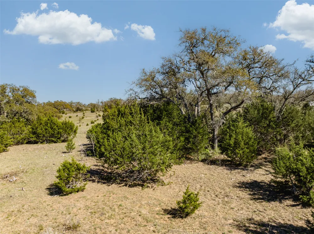 1440 Stone Ridge Mountain Drive Round Mountain, TX 78663