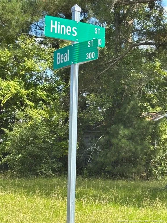 310 Hines Street Lumberton, NC 28358