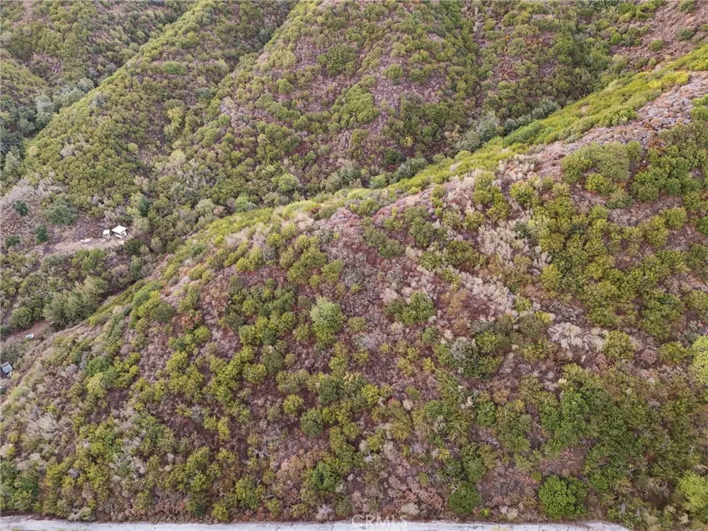 Escondido Drive Malibu, CA 90265