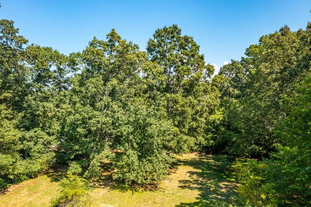 4814 Dodsons Crossroad Hillsborough, NC 27278