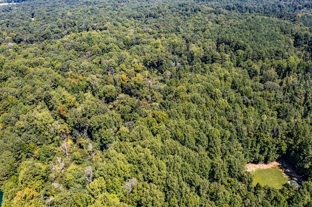 873 Six Mile Road Chapel Hill, NC 27516