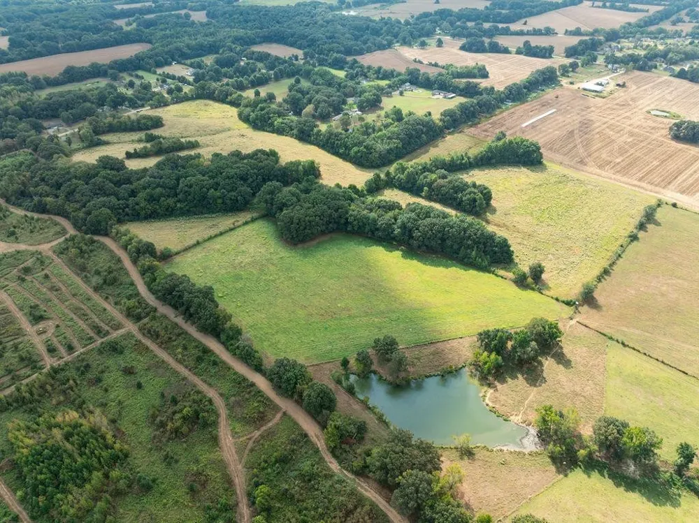 17615 HWY 194 Somerville, TN 38068