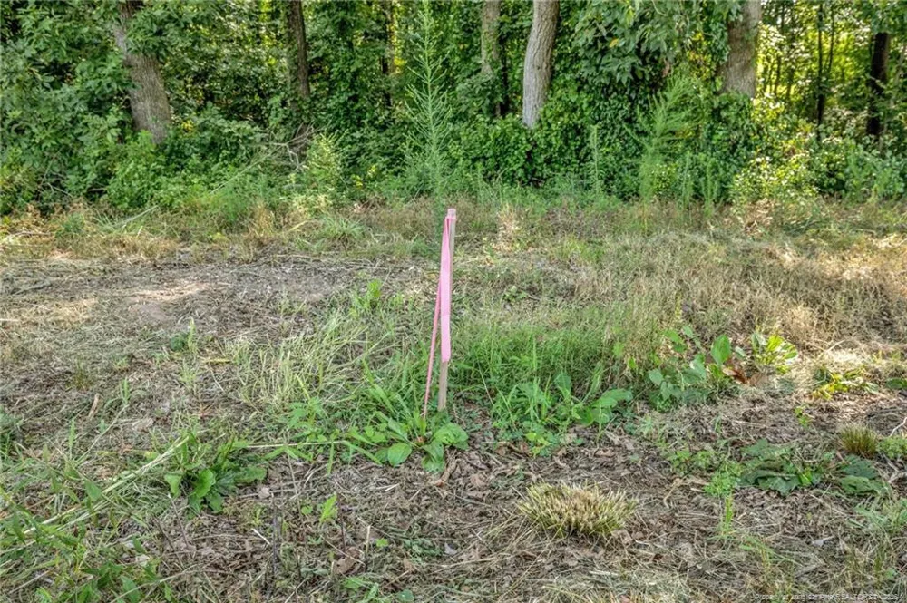 00 Laia Hills (Lot 2) Road Siler City, NC 27344