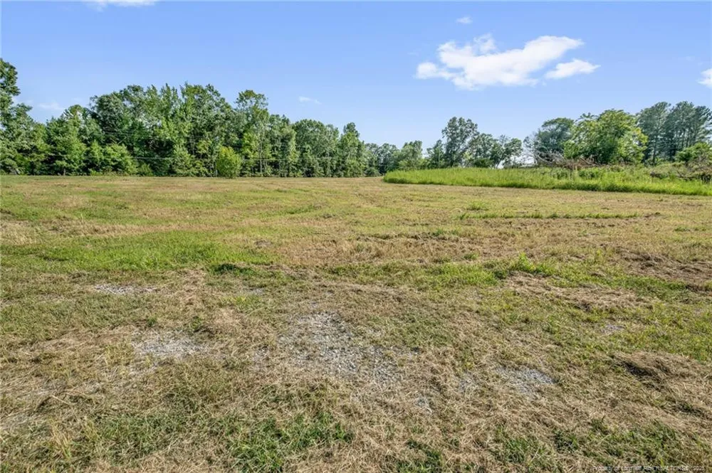 00 Laia Hills (Lot 2) Road Siler City, NC 27344