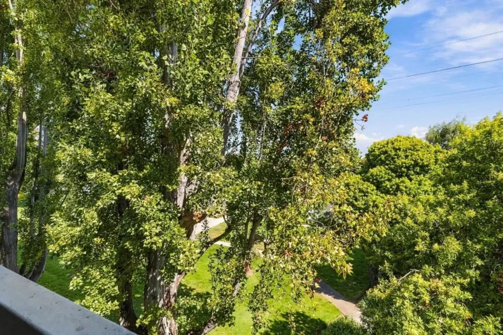 1170 Foster City Boulevard #308 Foster City, CA 94404