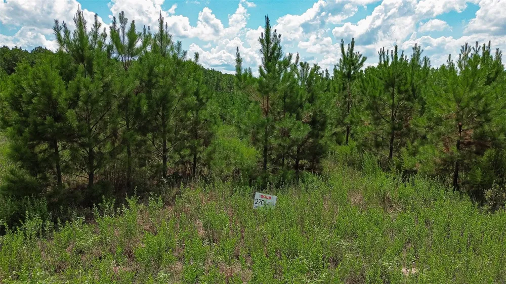 Cherokee Trail Trail Lovelady, TX 75851
